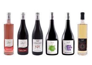 Carton découverte du Domaine