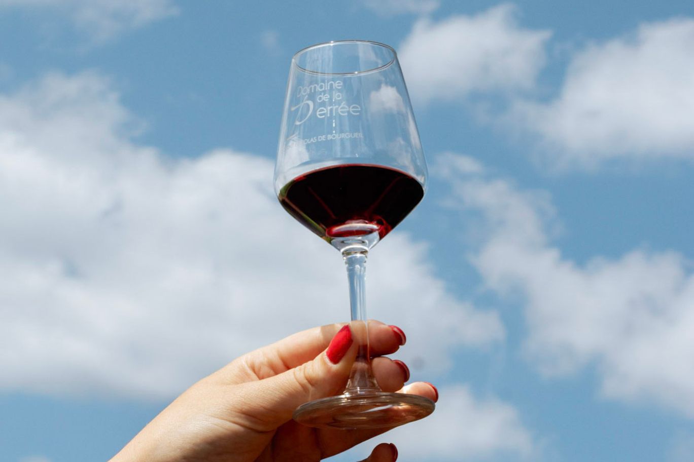 domaine-de-la-perree-saint-nicolas-de-bourgueil-vins-dégustation-de-vin-rouge-val-de-loire-coffret-découverte Nos coffrets découverte