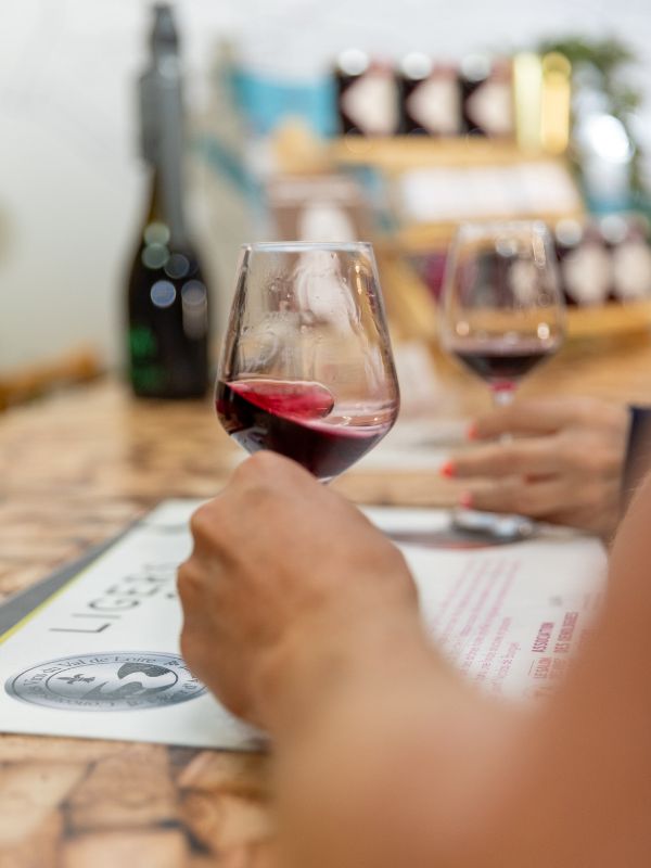 domaine-de-la-perree-vins-saint-nicolas-de-bourgueil-dégustation-domaine-viticole-visite-de-cave domaine de la perree vins saint nicolas de bourgueil degustation domaine viticole visite de cave