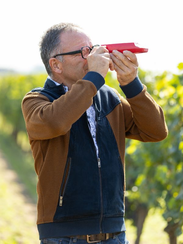 domaine de la perree vins saint nicolas de bourgueil vendanges raisin rouge cabernet franc