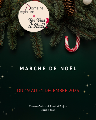 domaine-de-la-perree-les-vins-d’azel-vins-de-saint-nicolas-de-bourgueil-azeline-delarue-marché-de-noël-baugé-maine-et-loire